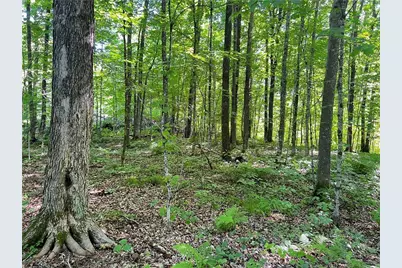 Tbd Balsam Drive, Birchwood, WI 54817 - Photo 22