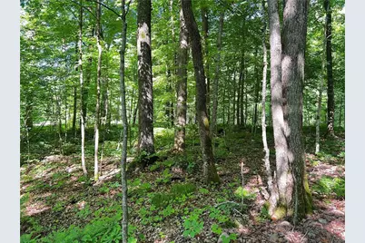 Tbd Balsam Drive, Birchwood, WI 54817 - Photo 26