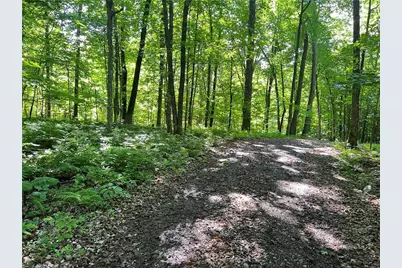 Tbd Balsam Drive, Birchwood, WI 54817 - Photo 22