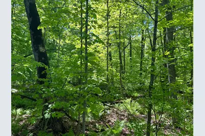 Tbd Camper Landing Road NW, Cass Lake, MN 56633 - Photo 10