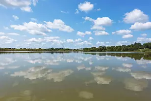 100 Benton St E, Cologne, MN 55322 - Photo 60