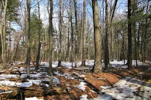 Xx 120th St, Frederic, WI 54837 - Photo 1