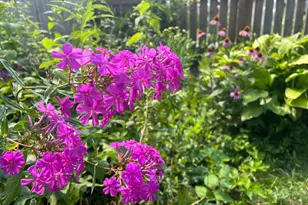 3011 17th Ave S, Minneapolis, MN 55407 - Photo 42