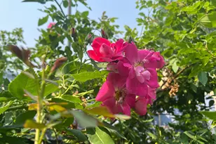 3011 17th Ave S, Minneapolis, MN 55407 - Photo 44