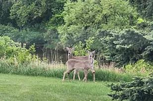 6294 State Hwy 27, Wheaton, MN 56296 - Photo 66
