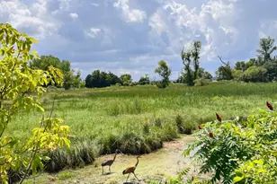 4746 Maas Ct, Saint Bonifacius, MN 55375 - Photo 30