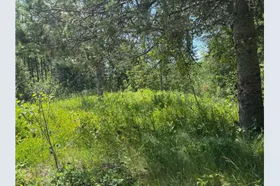 36719 State Highway 65, Nashwauk, MN 55769 - Photo 8