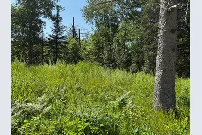 36719 State Highway 65, Nashwauk, MN 55769 - Photo 22