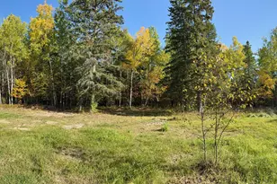 36719 State Hwy 65, Nashwauk, MN 55769 - Photo 1