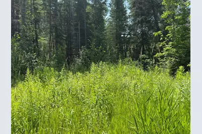 36719 State Highway 65, Nashwauk, MN 55769 - Photo 14