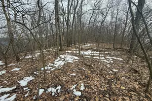 46180 Oak Hill Dr, La Crescent, MN 55947 - Photo 92