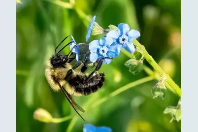 1969 Shakopee Avenue E, Shakopee, MN 55379 - Photo 24