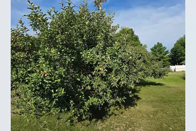 1207 Greenfield Avenue, Fergus Falls, MN 56537 - Photo 44