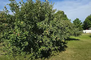 1207 Greenfield Ave, Fergus Falls, MN 56537 - Photo 44