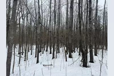 9th. 9th. St., Barronett, WI 54813 - Photo 16