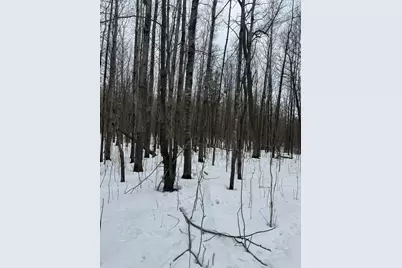 9th. 9th. St., Barronett, WI 54813 - Photo 28