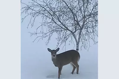 28983 320th Avenue Way, Red Wing, MN 55066 - Photo 136