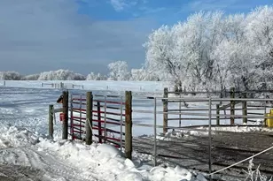 28983 320th Ave Way, Red Wing, MN 55066 - Photo 134