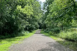 9931 Bluebird St NW, Coon Rapids, MN 55433 - Photo 36