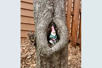 3245 Evergreen Drive, Eagan, MN 55121 - Photo 8