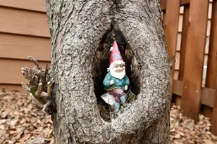 3245 Evergreen Dr, Eagan, MN 55121 - Photo 8