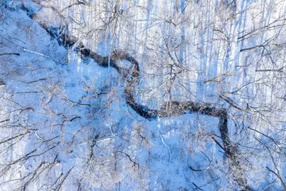 12295 Wilton Bridge Road, Waseca, MN 56093 - Photo 2