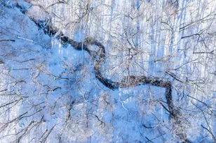 12295 Wilton Bridge Rd, Waseca, MN 56093 - Photo 2