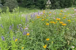 5680 Endwood Trail, Northfield, MN 55057 - Photo 72