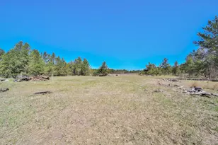 27125 132nd St, Staples, MN 56479 - Photo 70