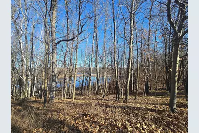 51070 Lake Six Road, Frazee, MN 56544 - Photo 40