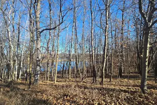 51070 Lake Six Rd, Frazee, MN 56544 - Photo 40