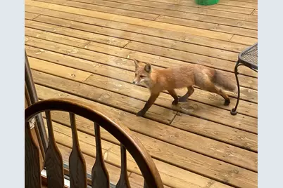 51070 Lake Six Road, Frazee, MN 56544 - Photo 44