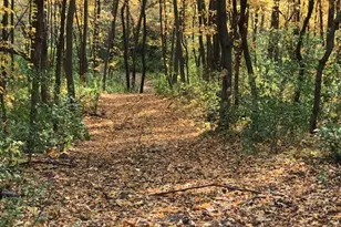 7243 Hazelwood Ave, Northfield, MN 55057 - Photo 86