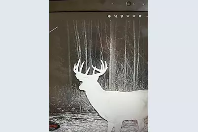 7243 Hazelwood Avenue, Northfield, MN 55057 - Photo 92