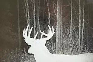 7243 Hazelwood Ave, Northfield, MN 55057 - Photo 92