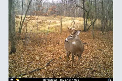 7243 Hazelwood Avenue, Northfield, MN 55057 - Photo 90