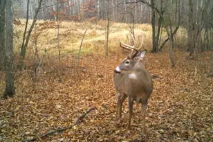 7243 Hazelwood Ave, Northfield, MN 55057 - Photo 90