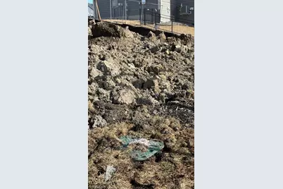 10131 Shadyview Lane N, Maple Grove, MN 55311 - Photo 8