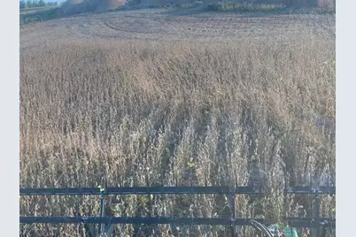 Tbd 430th St, Pelican Rapids, MN 56572 - Photo 20