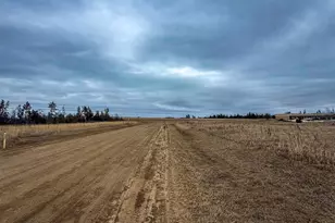 Tbd Greenleaf Ave, Bemidji, MN 56601 - Photo 1