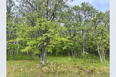 Tbd Lot 3 204th St, Park Rapids, MN 56470 - Photo 6