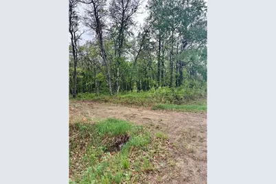 Tbd Lot 4 204th St, Park Rapids, MN 56470 - Photo 8