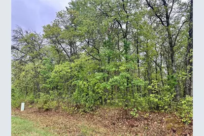 Tbd Lot 4 204th St, Park Rapids, MN 56470 - Photo 6