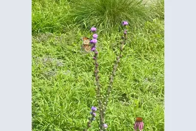 5733 13th Avenue S, Minneapolis, MN 55417 - Photo 32