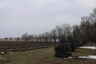 33198 540th Ave, Alberta, MN 56207 - Photo 34