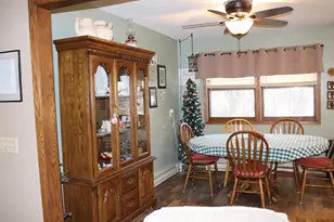 33198 540th Ave, Alberta, MN 56207 - Photo 38