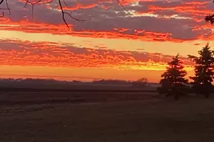 33198 540th Ave, Alberta, MN 56207 - Photo 78