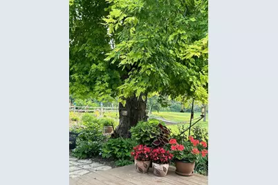 33198 540th Avenue, Alberta, MN 56207 - Photo 70