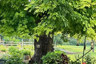 33198 540th Ave, Alberta, MN 56207 - Photo 70