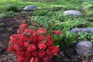 1901 Yorkshire Ave S, Hopkins, MN 55305 - Photo 40